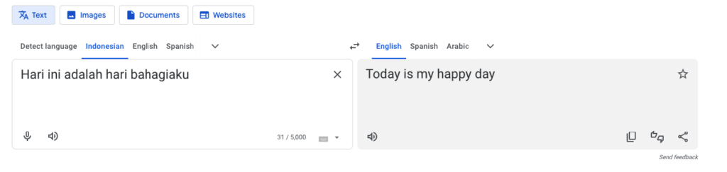 Translate Google